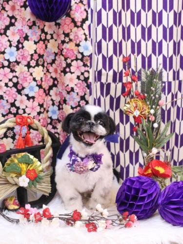 20250121たいがくん